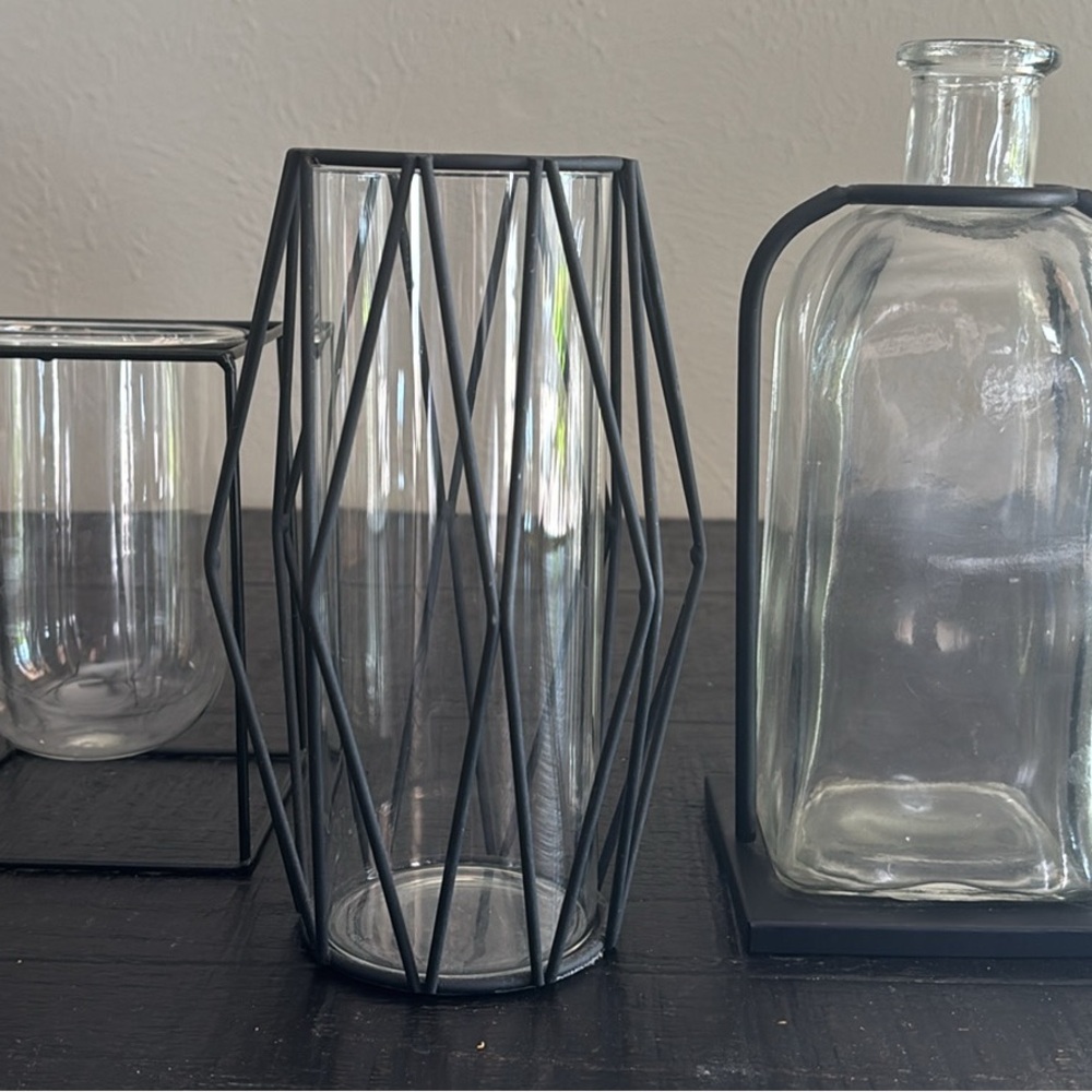 Black Metal and Glass Vase Set - Plant propagation